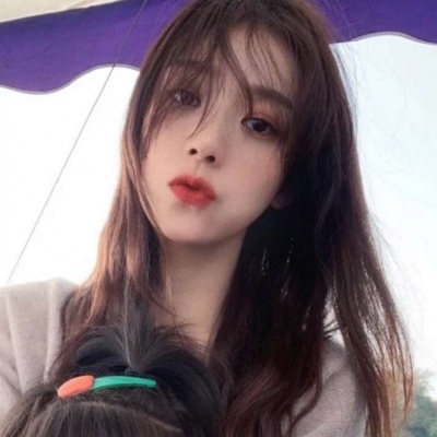 权利与魔法手机版